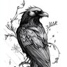 gay_crow