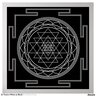 The_Adept