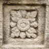 SeydaNeen