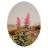 crossroadtoad