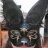 voidcat