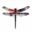 Odonata