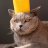 cathairnowhere