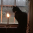 blackcat444
