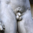 Herne the Humbled